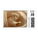 Cream Rose postage
